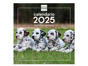 FINOCAM CALENDARIO PARED 30X30 CACHORROS 2025